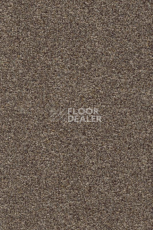 Ковролин AW Stainguard Harvest 42 фото 1 | FLOORDEALER